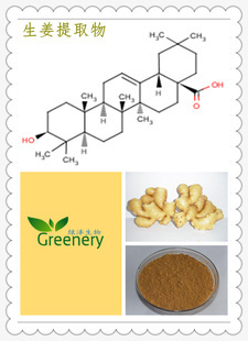 植物提取物行業推薦 西安綠澤在線供應的生姜提取物