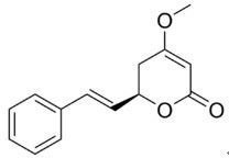 高品質(zhì)天然卡瓦提取物 植物提取物領(lǐng)域的純凈之選