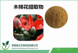 木棉花與瓊枝提取物市場(chǎng)價(jià)格解析及工廠(chǎng)專(zhuān)業(yè)品質(zhì)保障