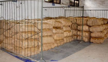 飛仙煙草站穩(wěn)步推進(jìn)均衡收購