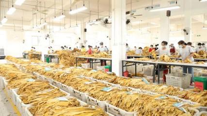 寧遠縣:&ldquo;三舉措&rdquo;破除農村集體經濟發展瓶頸