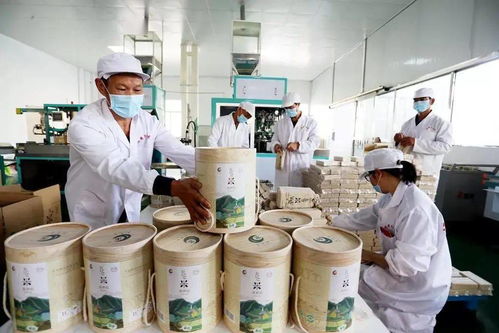 谷香飄萬里，增收靠大米 大額資金如何助力產業騰飛