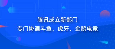 行業動態一周聚焦 科技巨頭戰略調整，傳統品牌商標爭議持續